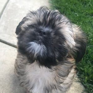 Meet your Posher, Jon